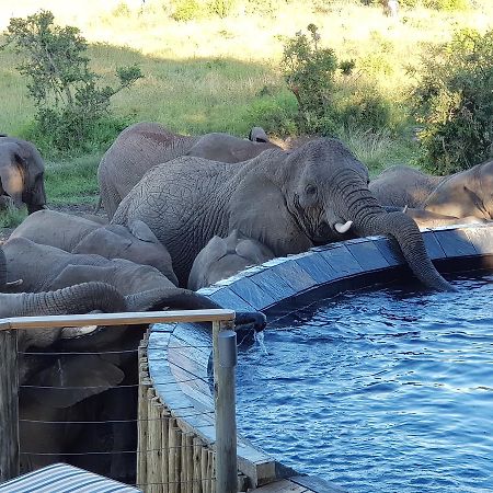 Nambiti Plains Lodge Ladysmith Kültér fotó