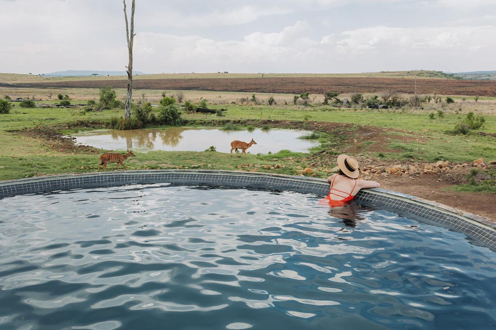 Nambiti Plains Lodge Ladysmith Kültér fotó