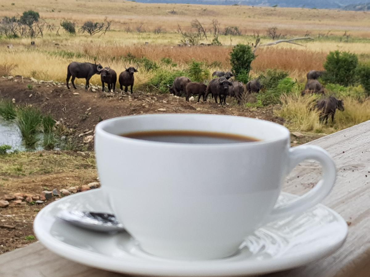 Nambiti Plains Lodge Ladysmith Kültér fotó