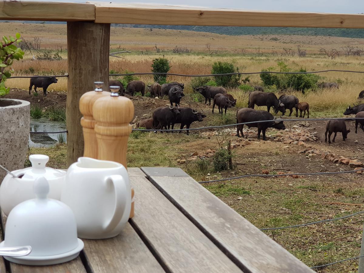 Nambiti Plains Lodge Ladysmith Kültér fotó