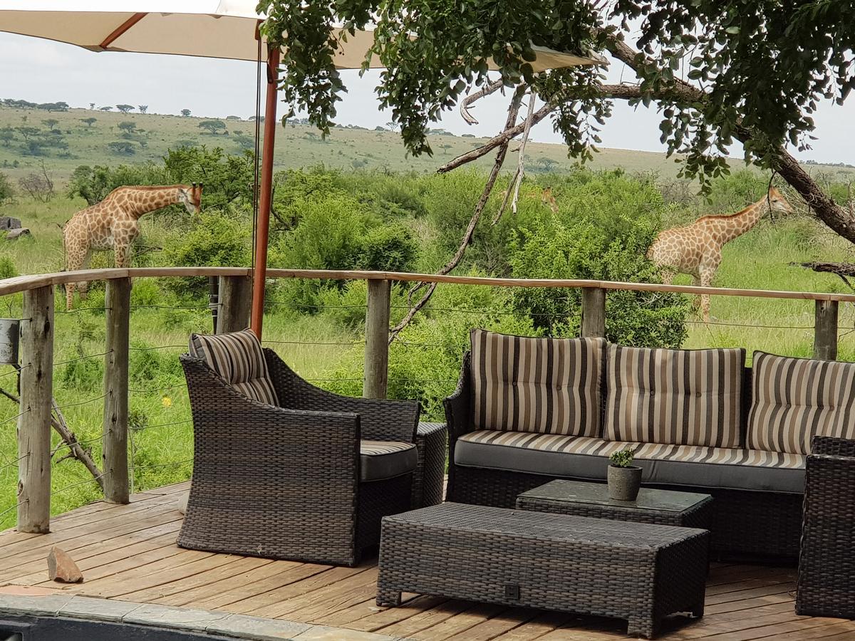 Nambiti Plains Lodge Ladysmith Kültér fotó