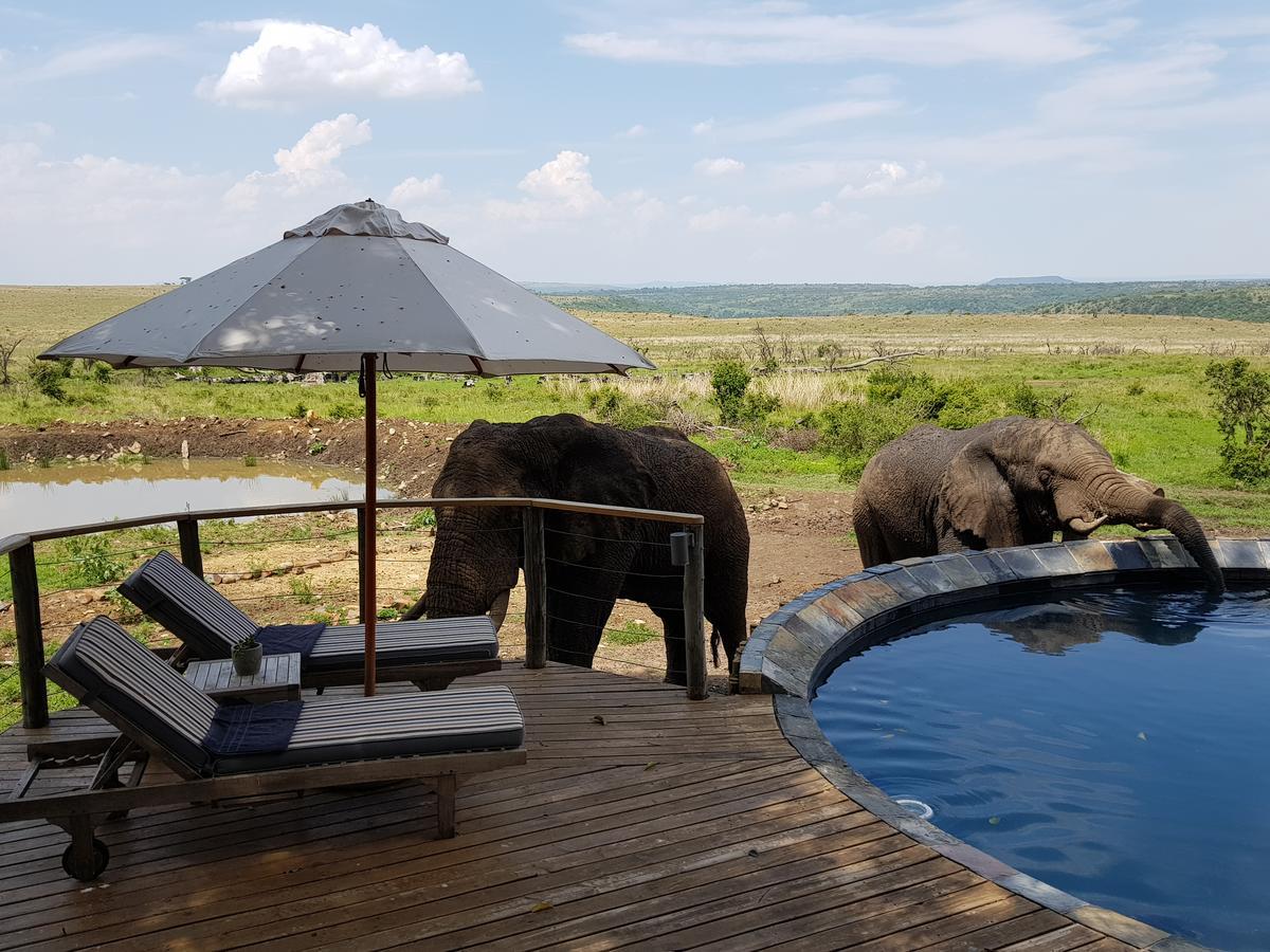 Nambiti Plains Lodge Ladysmith Kültér fotó
